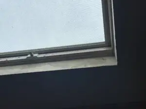 Ceiling view of skylight with water stains